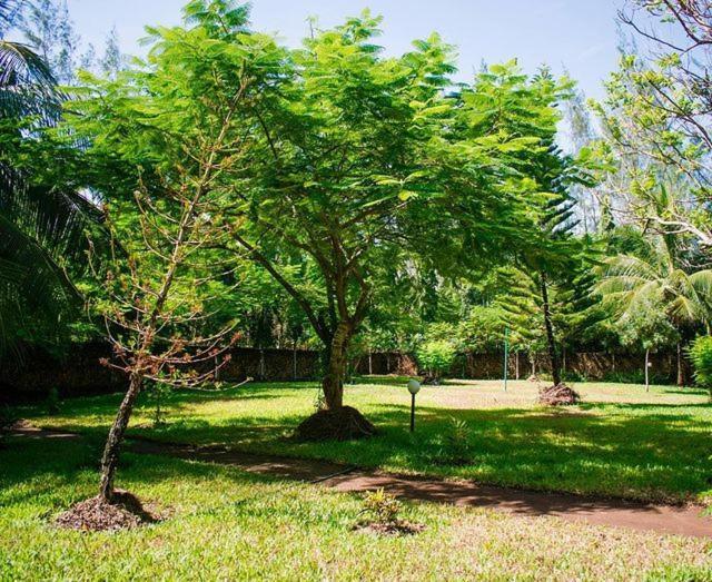 Kijani Cottages Diani Diani Beach Ngoại thất bức ảnh